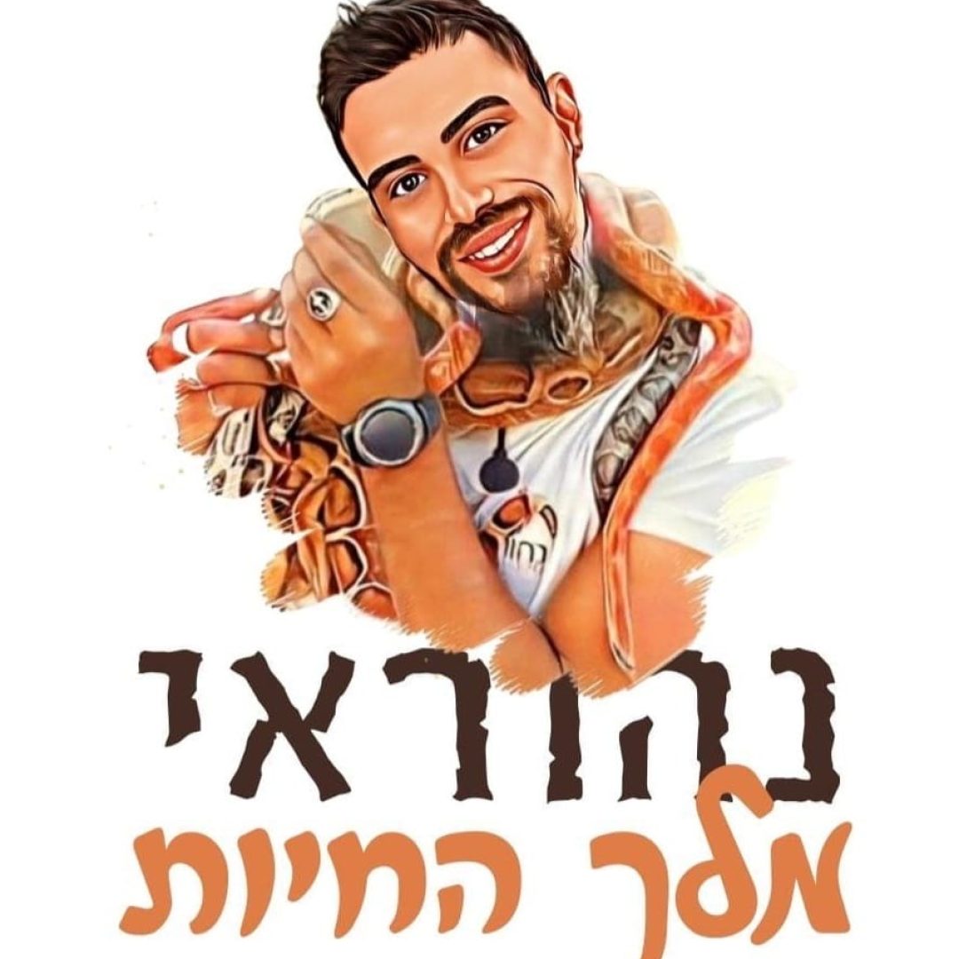 קיר הזכרונות